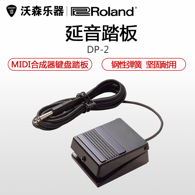 Roland Rolland DP-2 DP2 MIDI Keyboard synthesizer electronic organ pedal