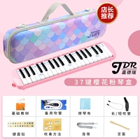 37-ключевая коробка с порошковой пианино (2 набора трубки группы+учебник+наклейки на клавиш+полный набор подарков+Ausple)