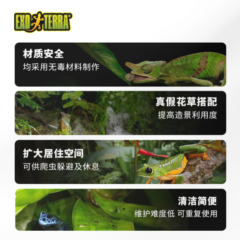 仿真植物新宠：ExoTerra希瑾挂壁式微景观假花草箱