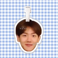 Bian Boxian багаж бренд 08 (расплывчатый)