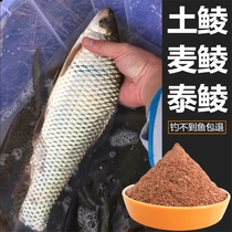 Guangdong tu ling yu bait wild fishing reservoir Wild River reservoir in Guangxi mud carp Thai Dace food Meizhou ling fish play wo liao