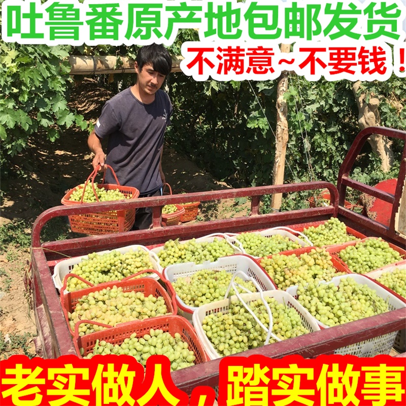 5 kg Xinjiang specialty Turpan oversized no-washed emerald seedless raisins 500g*2