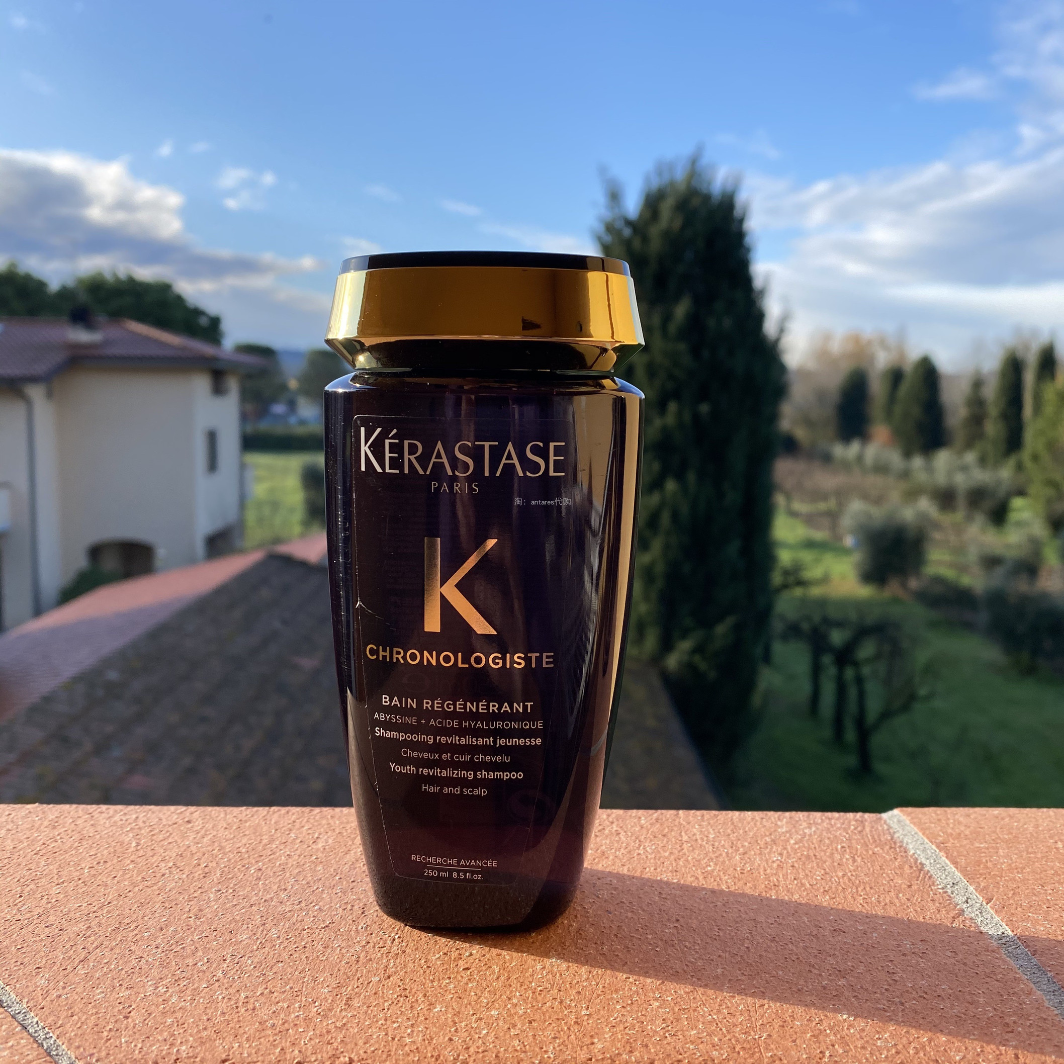 Spot new version of Paris Kashi Black Diamond gel Black Diamond key source Caviar shampoo 250ml