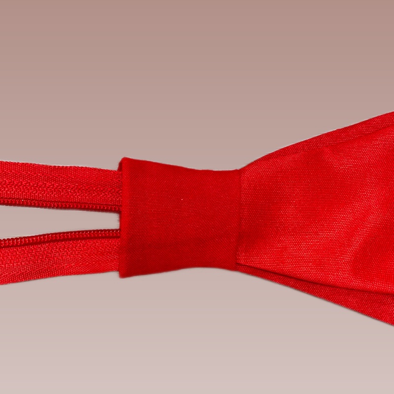 Red Scarf Collar Children's Tie Pull Chain School Uniform Tie Lock No Need to Tie Solid Color Big Kids Elementary School Students Portable Standard Red Scarf Collar Children's Tie Pull Chain School Uniform Tie Lock No Need to Tie Solid Color Big Kids Elementary School Students Portable Standard