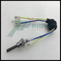 12V Parking heater ignition plug Diesel engine heater heater ignition plug 24V Truck air heating accessories