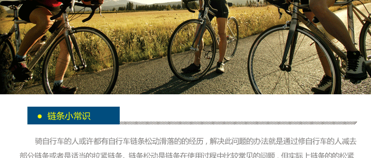 Chaîne de vélo - Ref 2368524 Image 13