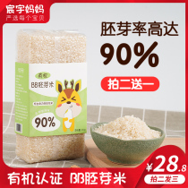 Organic Certified Germ Corn Rice Nutritious Breakfast Children Rice Cereals for Children Rice Cereals