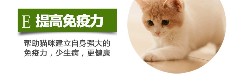 Mèo bé mèo gói thực phẩm biển sâu cá gói nhỏ thành một con mèo thức ăn cho mèo đi lạc pick miệng kitten thức ăn chính anf cho mèo