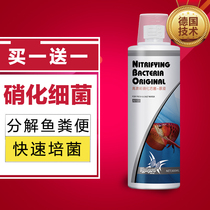 Fish tank nitrification bacteria water purification agent Aquatic fish water quality stabilizer digestion bacteria nitrifying bacteria fish fish supplies