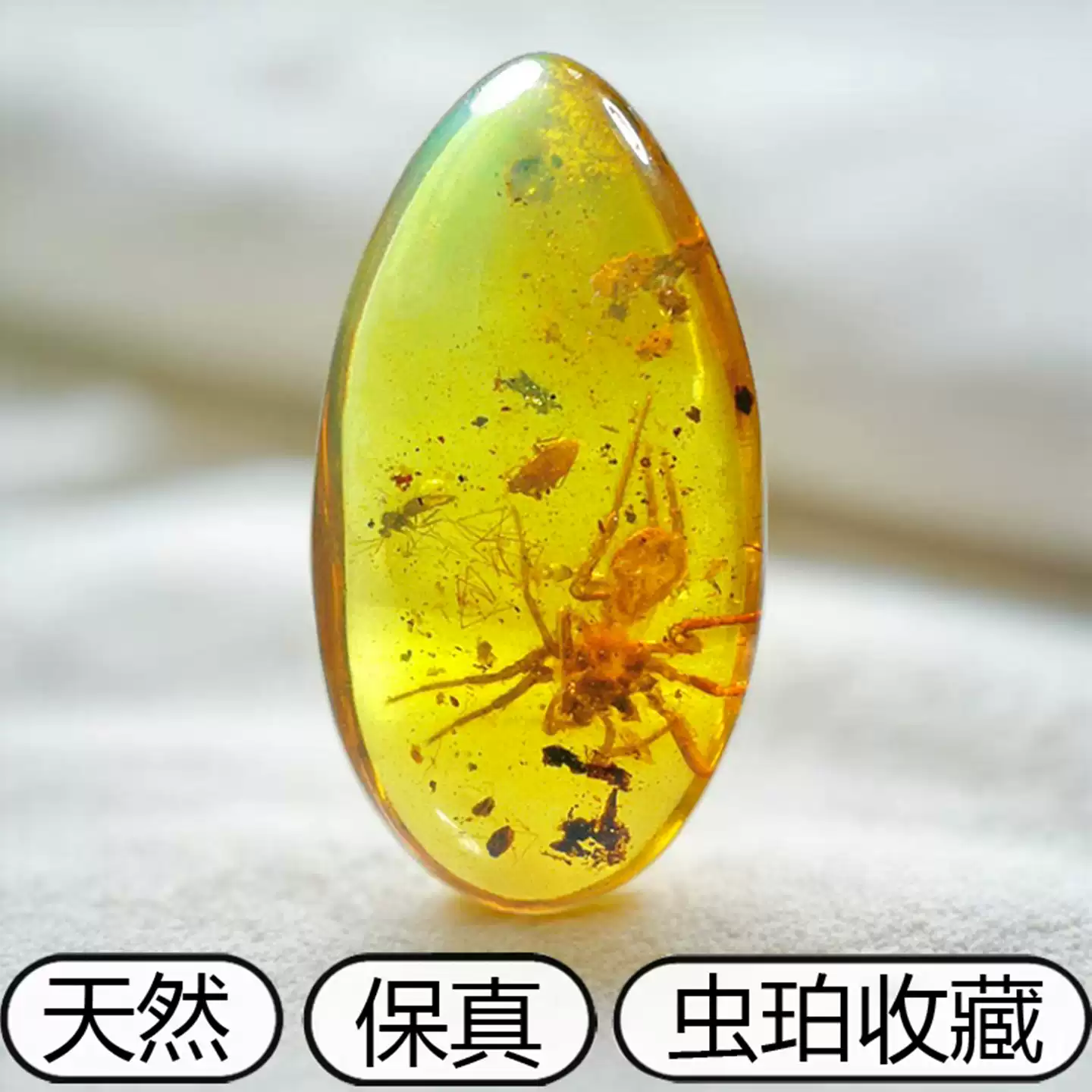 純天然緬甸蟲珀吊墜昆蟲動物琥珀化石琥珀化石活水膽裸石未鑲嵌-Taobao