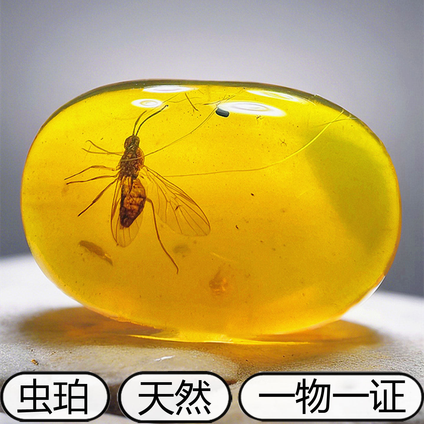 Burma Amber Raw Ore Pure Natural Golden Blue Blood Amber Insect Amber Plant Leaf Fossil Insect Animal Fossil Pendant