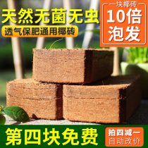 Coconut brick cultivation matrix Coconut Bran Bran fertilizer Coconut shell brick sterile low-salt seed flower planting nutrition soil coconut clay brick