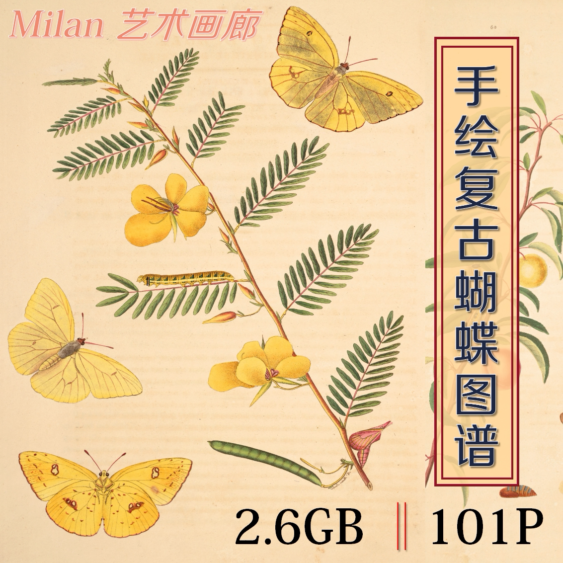 昆虫大百科海报- Top 100件昆虫大百科海报- 2025年11月更新- Taobao, image size:1133x1133