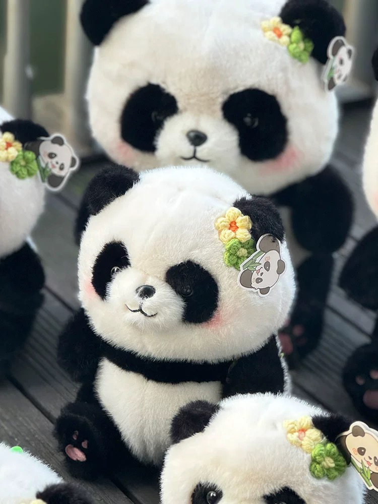 【レア品！新品・未使用品】和花ちゃん視点の限定品写真集「大熊猫的朋友圏」 O1CN01WBH9hr1kZHM4c9pWN_!!