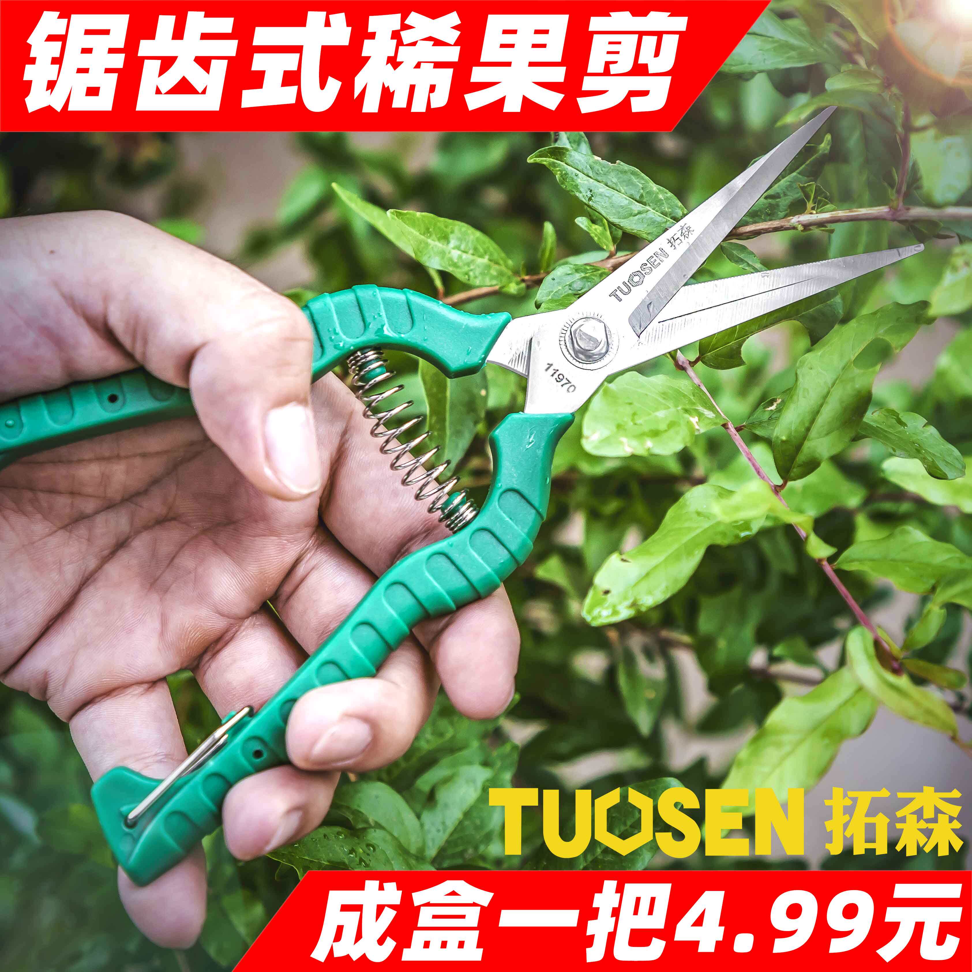 Tuosen five gold tools floral cut fruit tree grape labor-saving stainless steel straight head to pick and cut a cut of a rare fruit cut