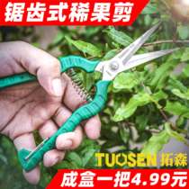 Tuosen Five Gold Tools Floral Cut Fruit Tree Grape Labor-saving Stainless Steel Straight Head Picking Cut Garden Cut Rare Fruit Cut