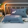 Gối nhung san hô dày mùa đông nhung flannel vỏ gối 48 74 cặp gối ấm áp bắn 2 gối ôm cho trẻ sơ sinh