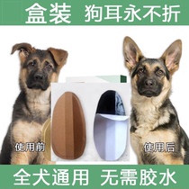 Corgi puppy erect ears puppy ear erect sticker dog ear erect artifact German Shepherd ear erection aid Doberman ear erection device