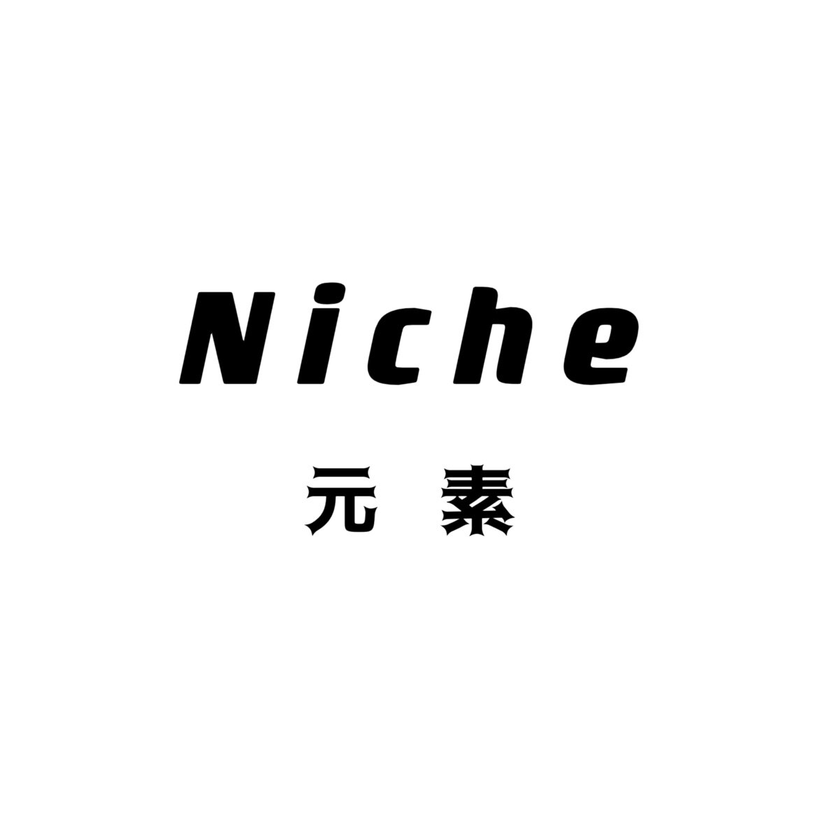 Niche Fashion 元素