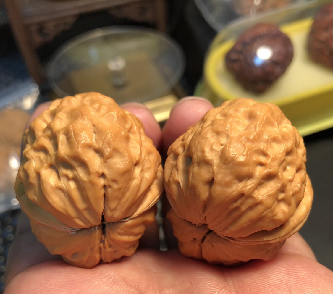 Pure wild play iron walnut short pile pimple bag toad head lion head large size boutique sale practice hand to play