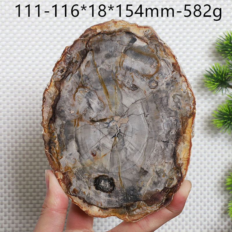 天然馬達加斯加木化石切片木化玉原石奇石風景片礦物標本一物一圖