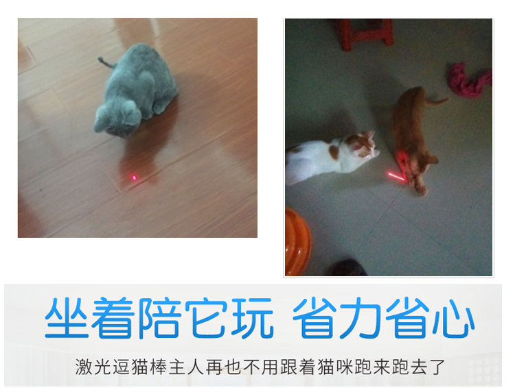 Mèo con chó đồ chơi ánh sáng laser vui mèo thanh vui mèo tia laser bút hồng ngoại mèo đồ chơi ánh sáng laser 	nhà đồ chơi cho chó