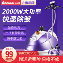 Zhigao hand-hanging ironing machine Household steam iron ten-speed temperature adjustment vertical ironing machine Ironing clothes hanging iron