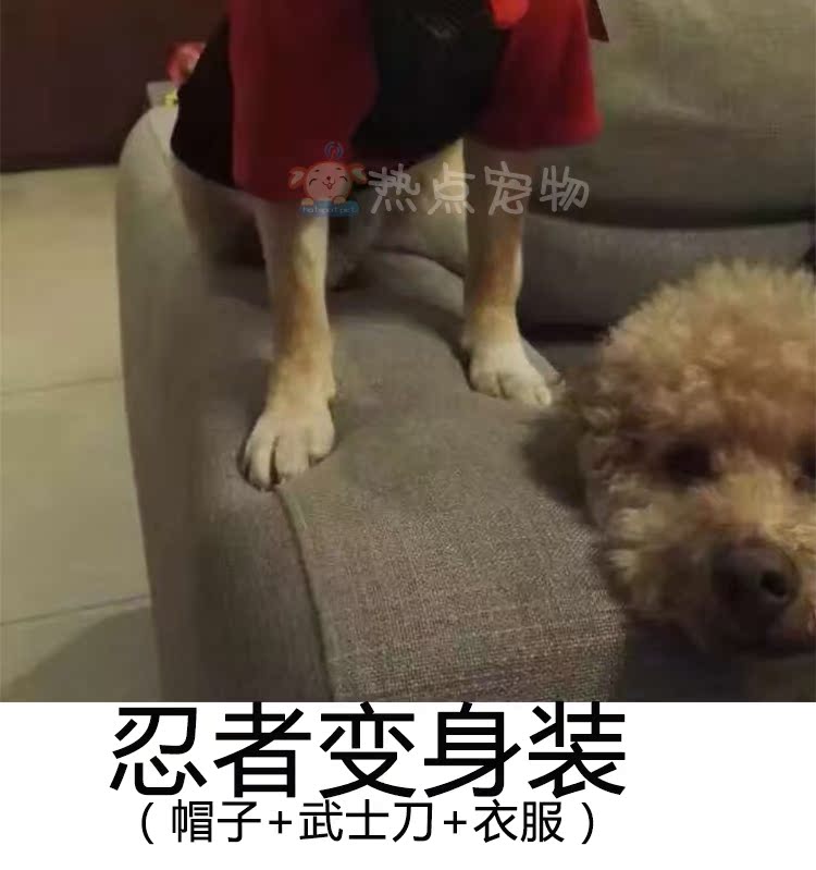 Chó quần áo cá tính Qiti mũ trùm lớn mũ trùm ninja hóa ra Teddy Akita hơn quần áo ngộ nghĩnh Xiong Keji - Quần áo & phụ kiện thú cưng quần áo cho chó poodle