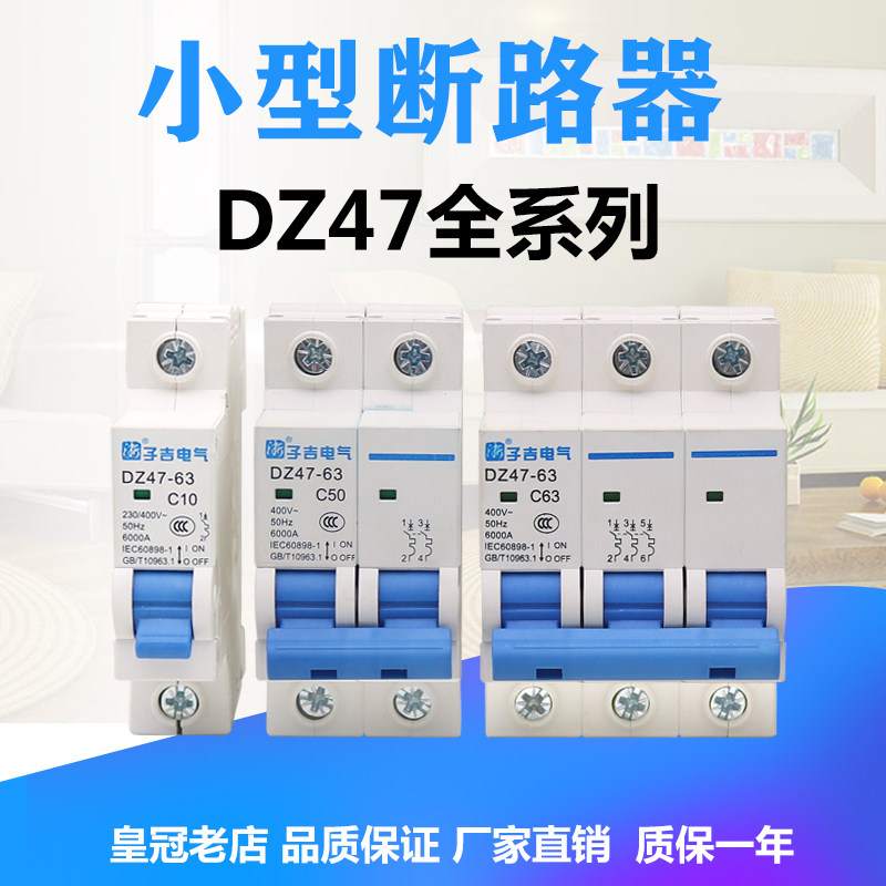 Small circuit breaker DZ47-63 DZ47-125 1P2P3P4P household air open 6~125A main gate C45