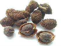 Spring Amomum Yangchun Special Products Spring Salen Dry Fruit Stellless Farmhouse Authentic Yangchun Amomum Amomum Fire Roasted Soup Yangjiang 50g