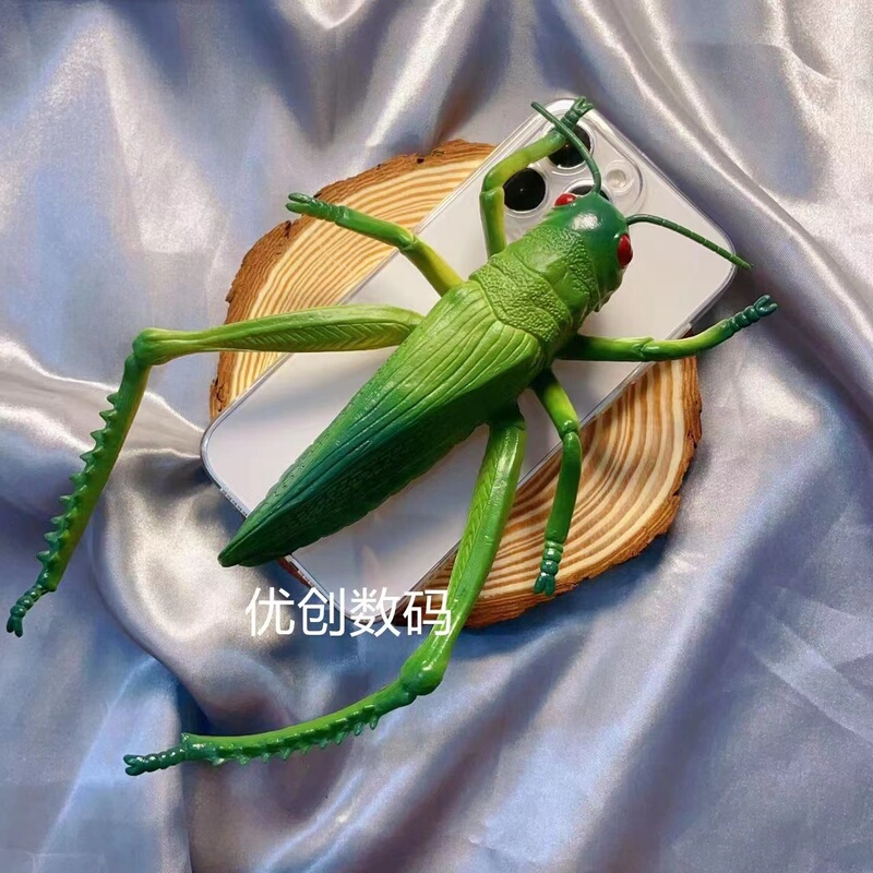 Funny and Quirky Grasshopper Design Suitable for Apple 15 Pro Max Phone Case iPhone 14 Plus Soft Case 13 Pro Max Shockproof 12 Mini Compatible XS Max Dormitory Xr Ugly 6S Quirky 7 Female 8