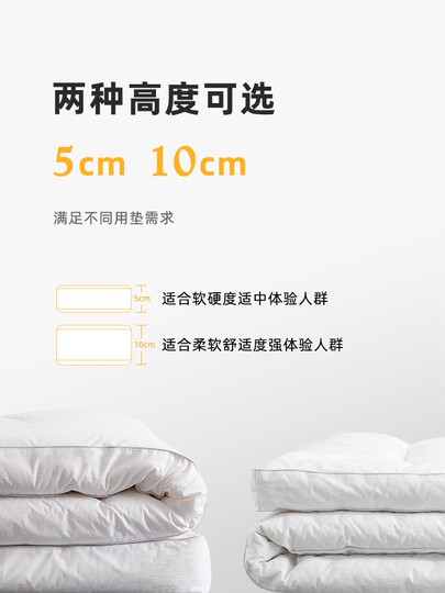 五星级酒店大豆纤维床垫软垫家用卧室垫子床褥榻榻米垫褥垫被褥子
