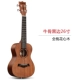 Nhạc cụ đa năng tùy chỉnh phổ quát guitar 41 inch - guitar điện khác nhạc cụ phương Tây guitar điện guitar