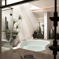 Simulation plant decoration indoor floor desert View home matching design Immortals column Nordic wind bonsai green plant