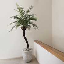 Simulation Green Plant Fern Tree Plant Large Indoor Living Room Potted Plant Decoration Brief of Silent Wind Down to Customize Bonsai