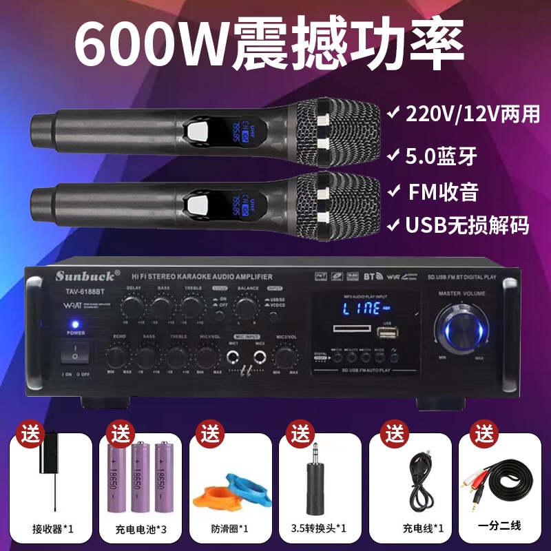 600W High power Bluetooth wireless KTV Sound power amplifier Home with EQ equalizer 12V220V Dual-purpose power amplifier