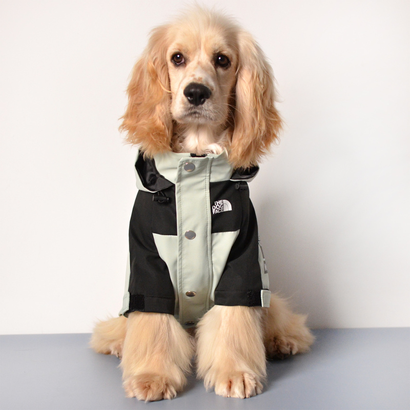 Trendy Dog Clothes for Border Collies, Cocker Spaniels, Teddy Dogs, Bichons, Shiba Inu, Schnauzers, Small and Medium-Sized Dogs, Autumn and Winter Style