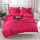 Hàn Quốc bông giường bedspread váy một gia đình bốn bông-loại giường giường 1,5m 1.8m đặt mô hình màu đơn giản - Bộ đồ giường bốn mảnh bộ chăn gối