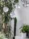 Canadian Bocci14 Chandelier Glass Living Room Dining Room Villa Open Staircase Island Designer Model Duplex Building