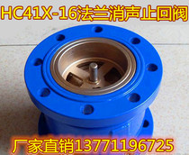 HC41X-16 flange extinction check valve flange one-way valve vertical vertical check valve DN65
