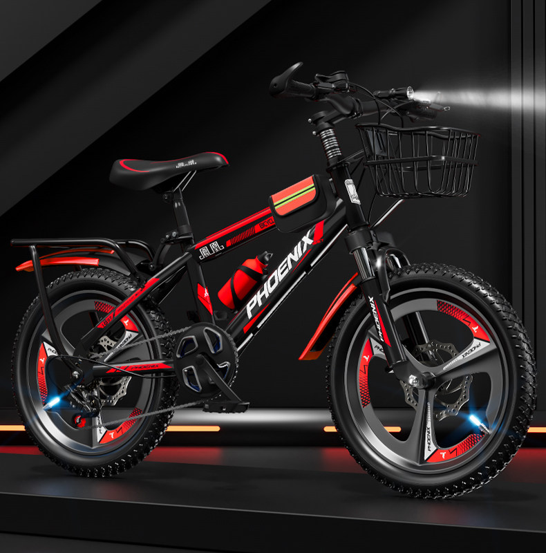 Phoenix kids bike 20inch variable speed disc brake: allows