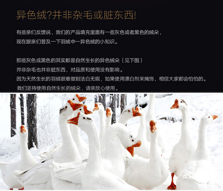 Gối xuống gối 100% lông ngỗng trắng gối khách sạn năm sao đặc biệt gối gối lông gối gối sức khỏe gối gối trúc điều hòa