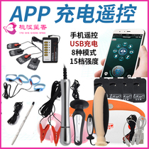 APP Remote electric shock taste masturbation horse eye anal plug male and female new combination hot electric shock suit