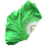 Поклонник танца увеличивает фанат танце