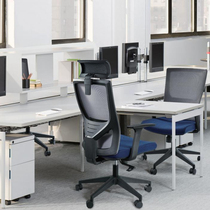 Xiamen office tennis chair ergonomic computer chair Chair Mesh Fabric Comfort Backrest Seat Staff Lift Swivel Chair