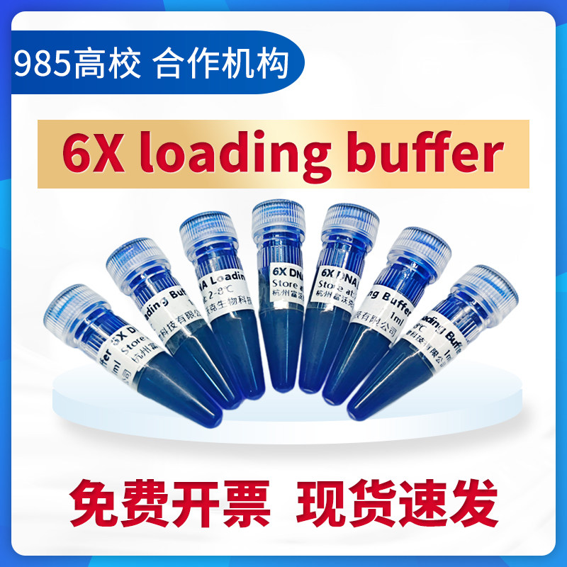 6&times;DNA Loading buffer  琼脂糖DNA电泳 DNA上样缓冲液 核酸电泳