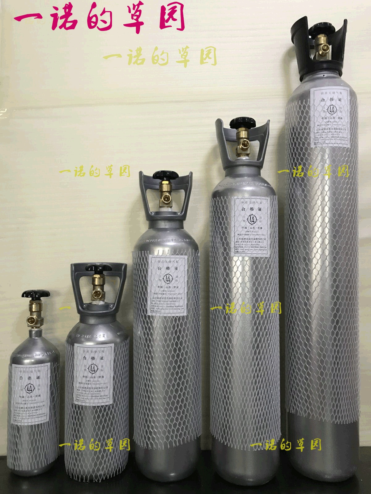 Shandong construction 2L 4L 8L 10L 12L 15L carbon dioxide cylinder CO2 cylinder