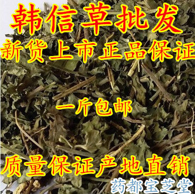 Authentic Chinese Herbal Medicine: Hanxinsuo, Xiangtianzhan Dali Cao, Sage. Whole Plant, New Dried Product, 500g, Free Shipping