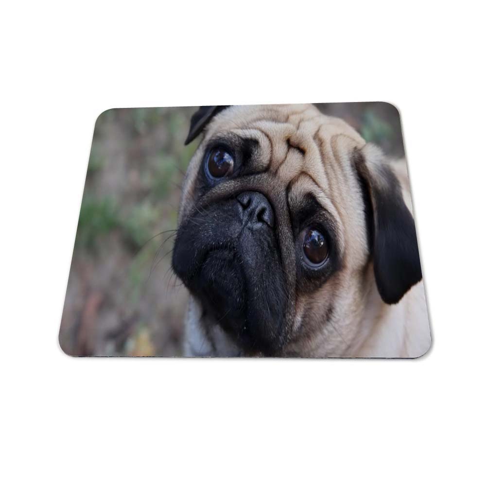 tapis de souris chien mignon au regard tendre