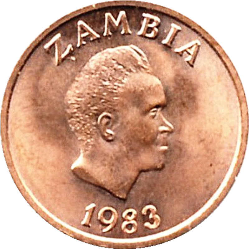 Foreign Coin New Products Promotion Brand New Zambian Coins 1 Enwei Single African Animal Edition True Foreign Currency Collection
